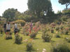 fiori1